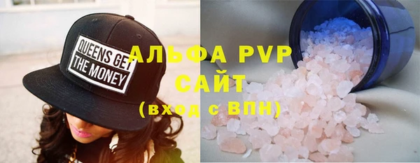 сатива Кинешма