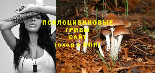 герыч Каменногорск