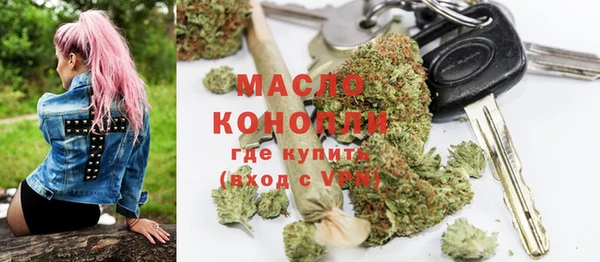 индика Киренск