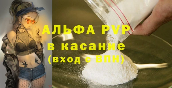 индика Киренск