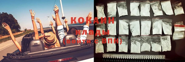 мдпв Киреевск