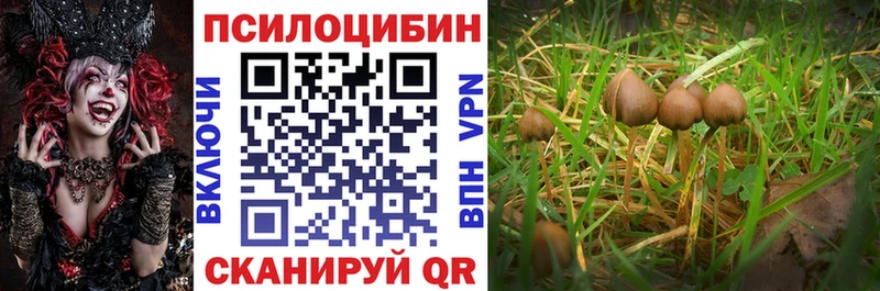 Псилоцибиновые грибы Psilocybe  Котельниково 